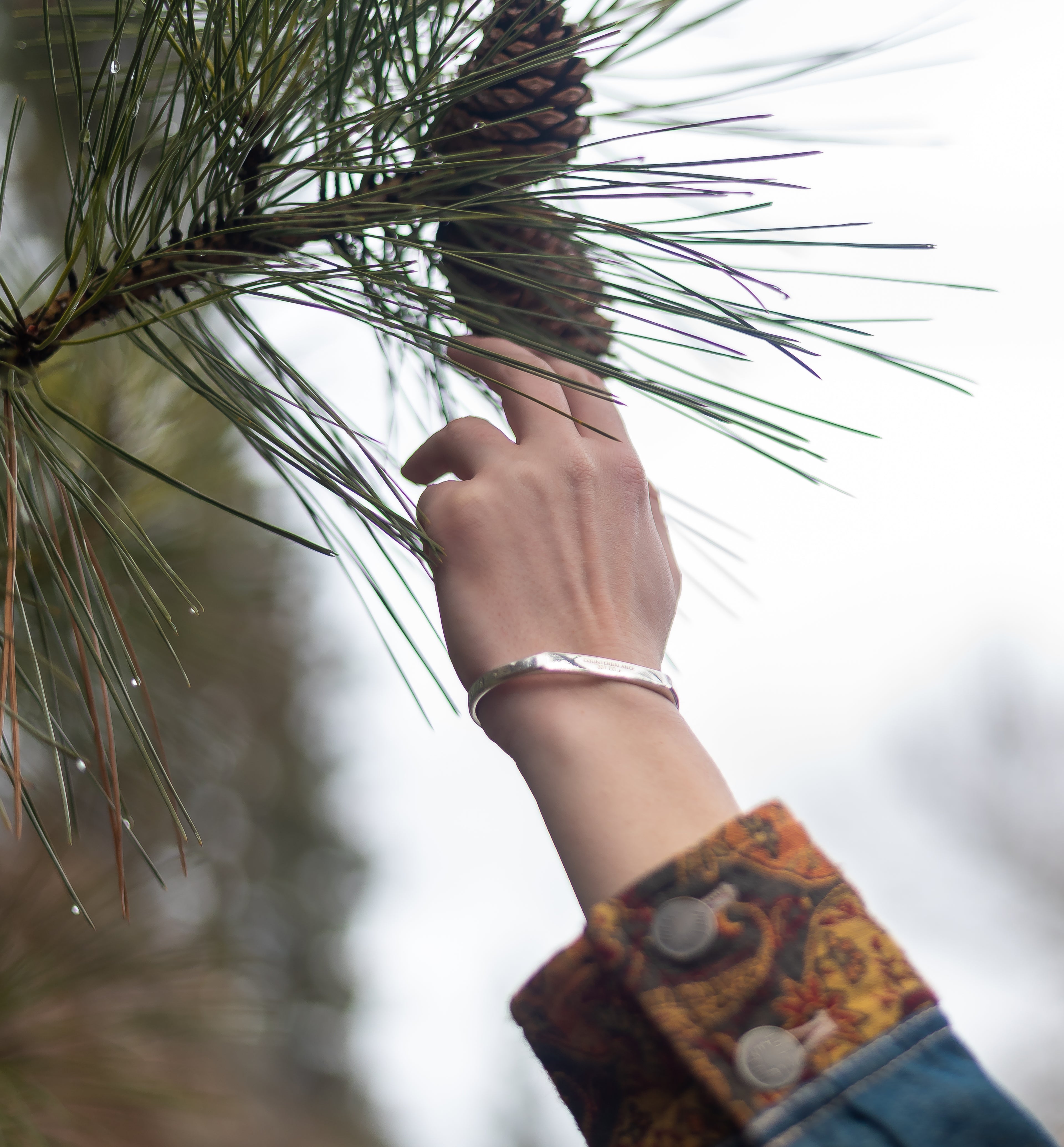 A model wearing a silver counterbalance bracelet reaches towards a ponderosa pine tree.