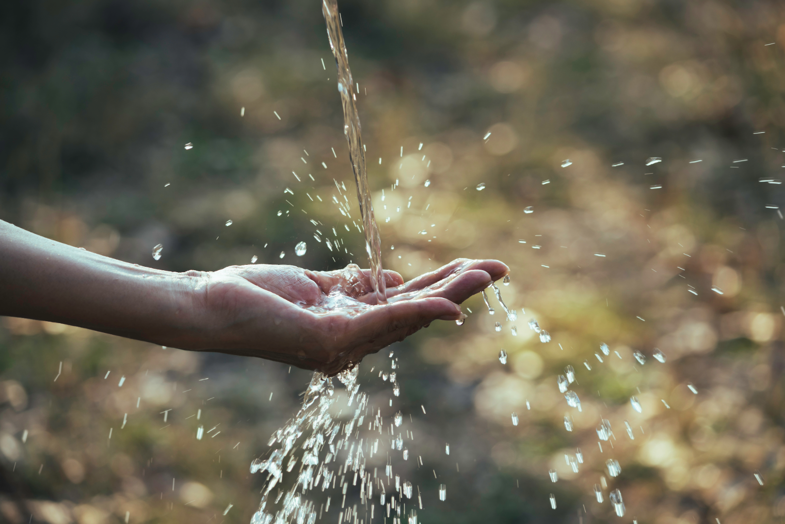 a stream of water flows into the hand of an individual.