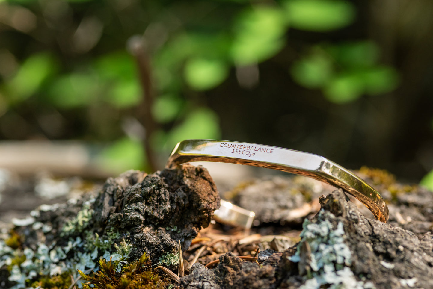 A 15 ton Counterbalance bracelet sitting on mossy bark in the forest.