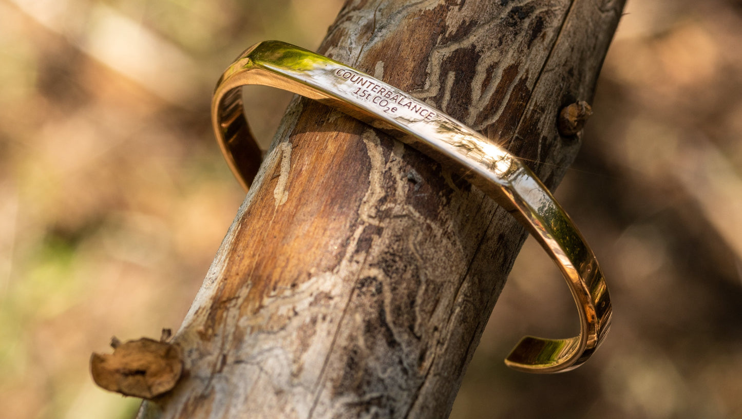 A 15 ton bronze Counterbalance bracelet displayed on a tree branch Missoula, Montana.