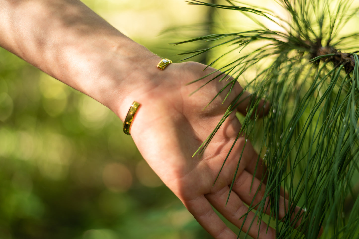 A model wearing the yellow gold counterbalance bracelet gestures towards the needles of a ponderosa pine.