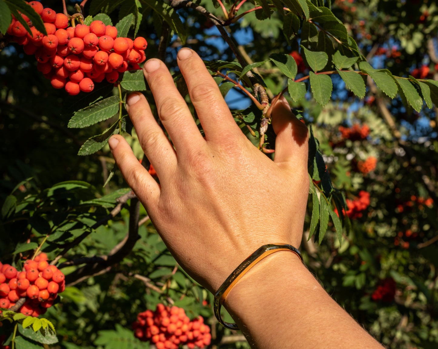 A model wearing the yellow gold counterbalance bracelet gestures towards the berries of a tree.