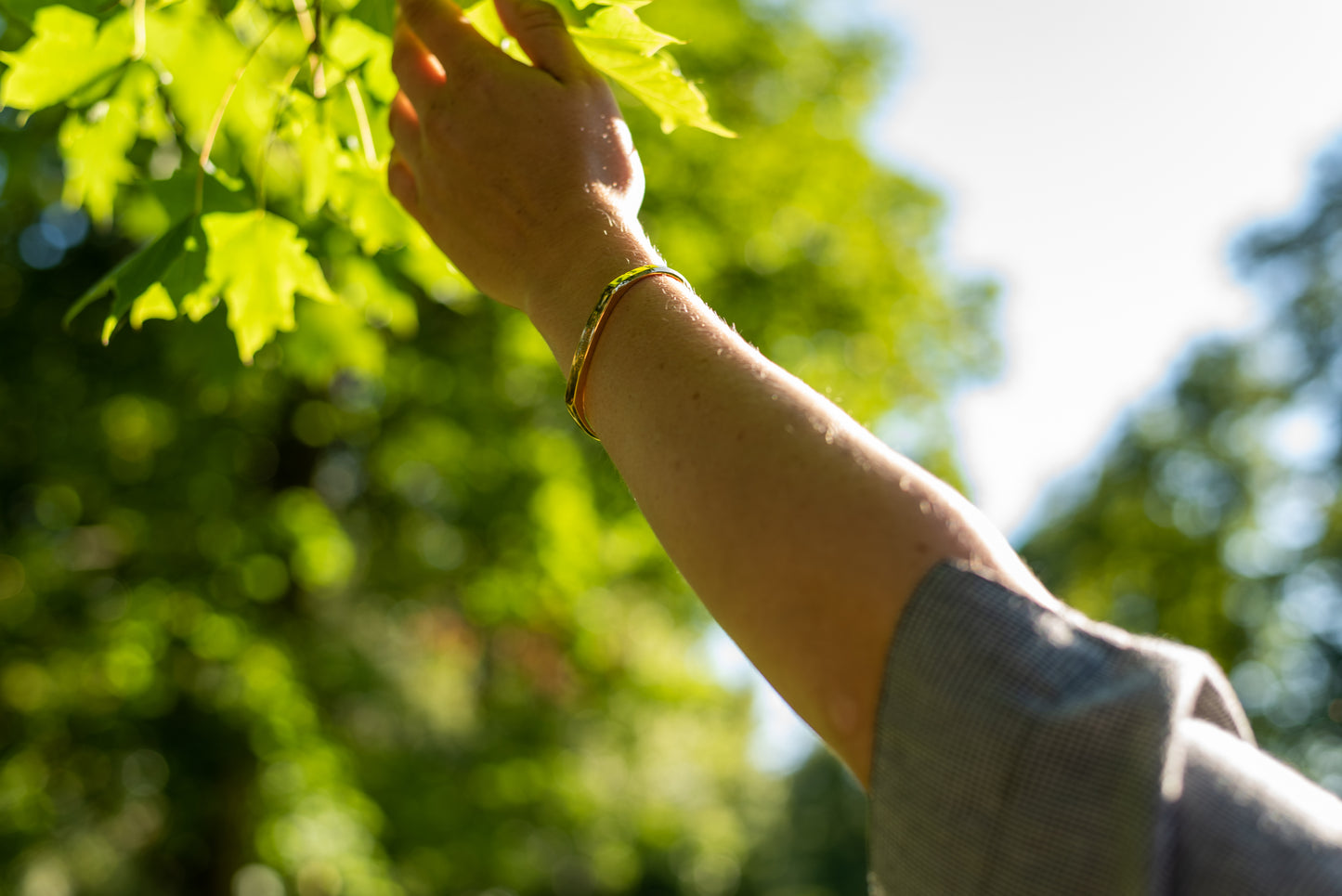 A model wearing the yellow gold counterbalance bracelet gestures towards the leaves of a maple tree in the Missoula Valley.
