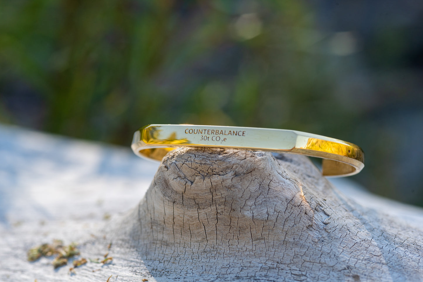 A gold counterbalance bracelet engraved with the abbreviations for 30 tons of carbon dioxide equivalent. The bracelet rests upon a piece of driftwood with green foliage in the background.