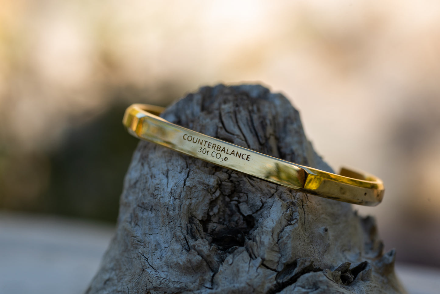 A gold counterbalance bracelet engraved with the abbreviations for 30 tons of carbon dioxide equivalent. The bracelet rests upon a piece of driftwood.