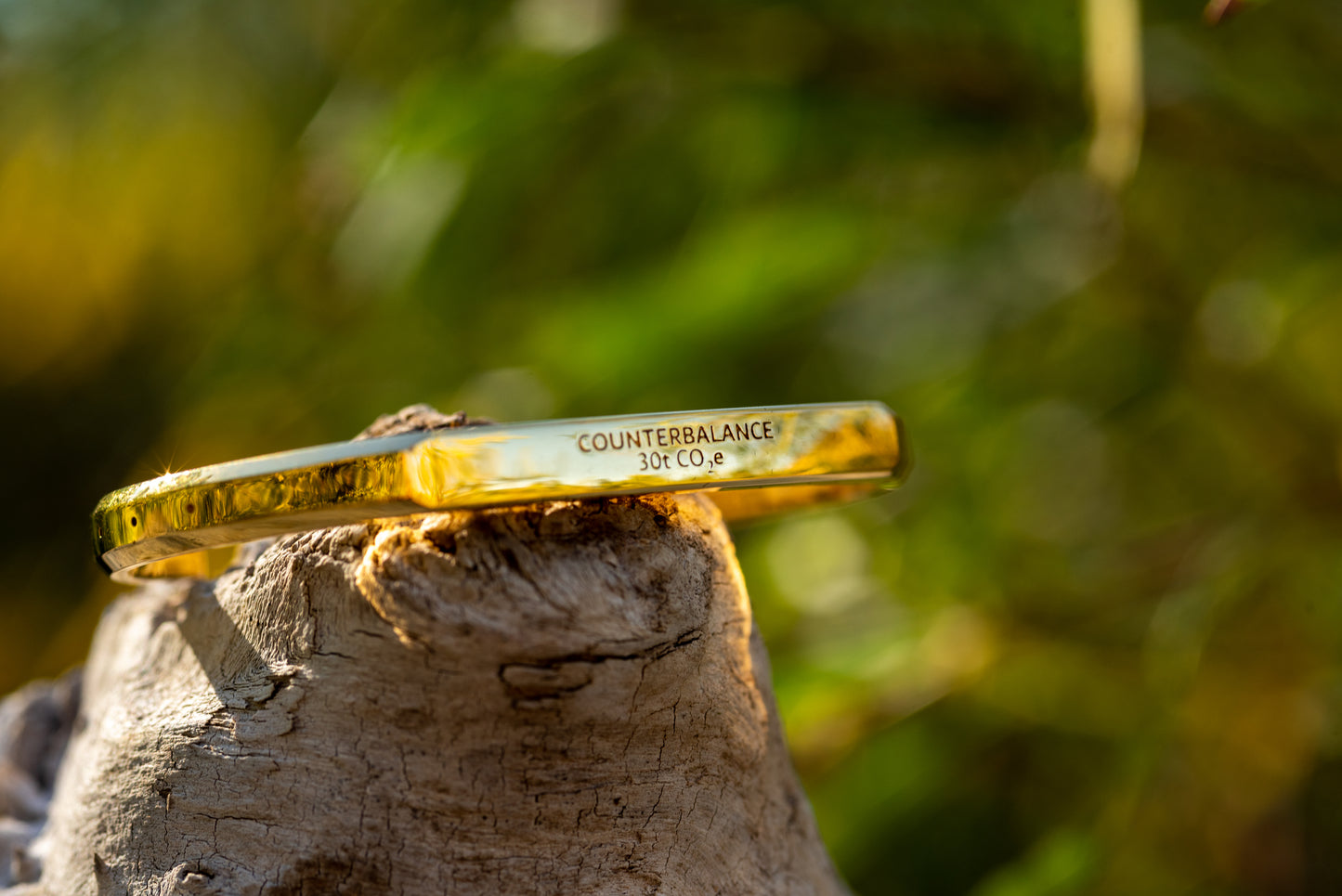 A gold counterbalance bracelet engraved with the abbreviations for 30 tons of carbon dioxide equivalent. The bracelet rests upon a piece of driftwood.