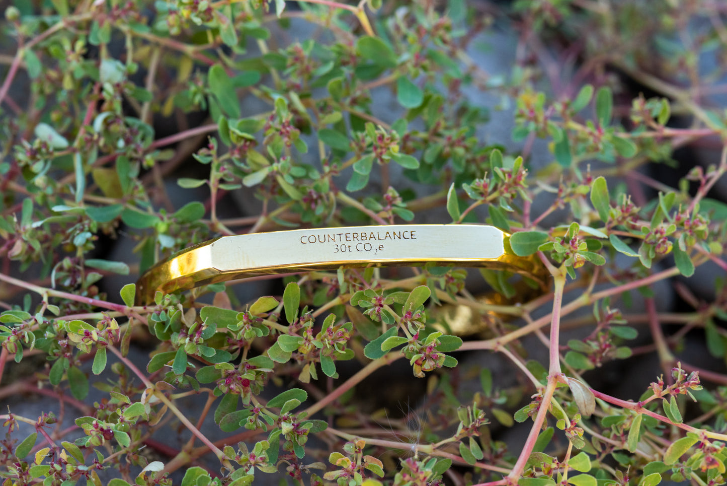 A gold counterbalance bracelet engraved with the abbreviations for 30 tons of carbon dioxide equivalent. The bracelet rests upon a plant with short leaves.