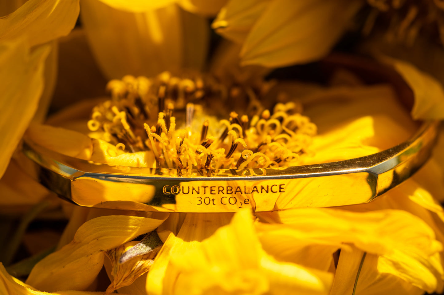 A gold counterbalance bracelet engraved with the abbreviations for 30 tons of carbon dioxide equivalent. The bracelet sits upon a yellow sunflower which is reflected in the metal of the bracelet.