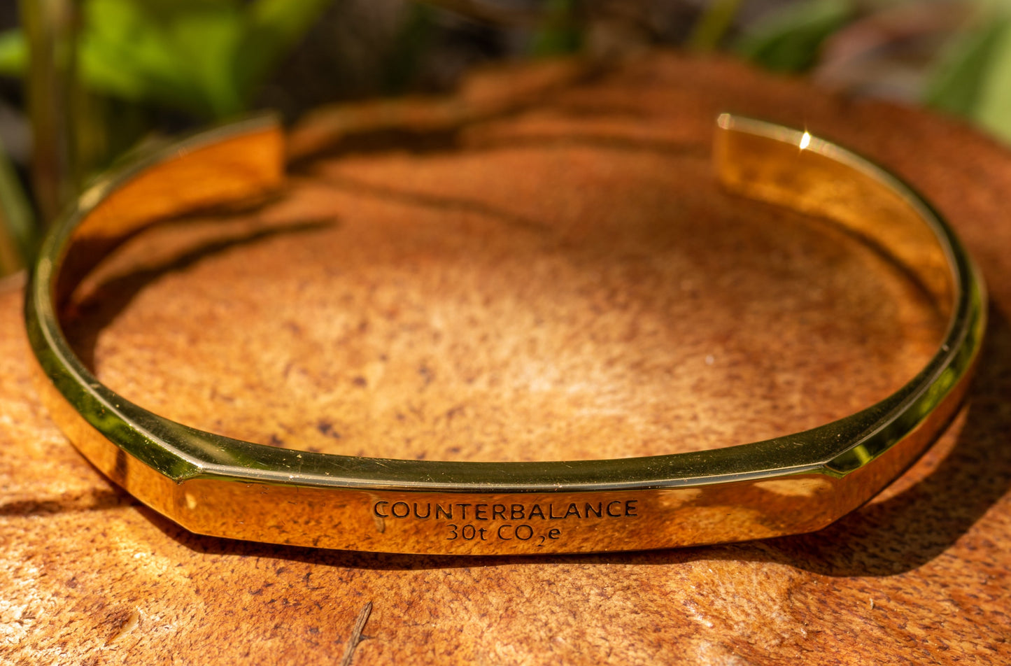 A gold counterbalance bracelet engraved with the abbreviations for 30 tons of carbon dioxide equivalent. The bracelet rests upon a large woodland mushroom.