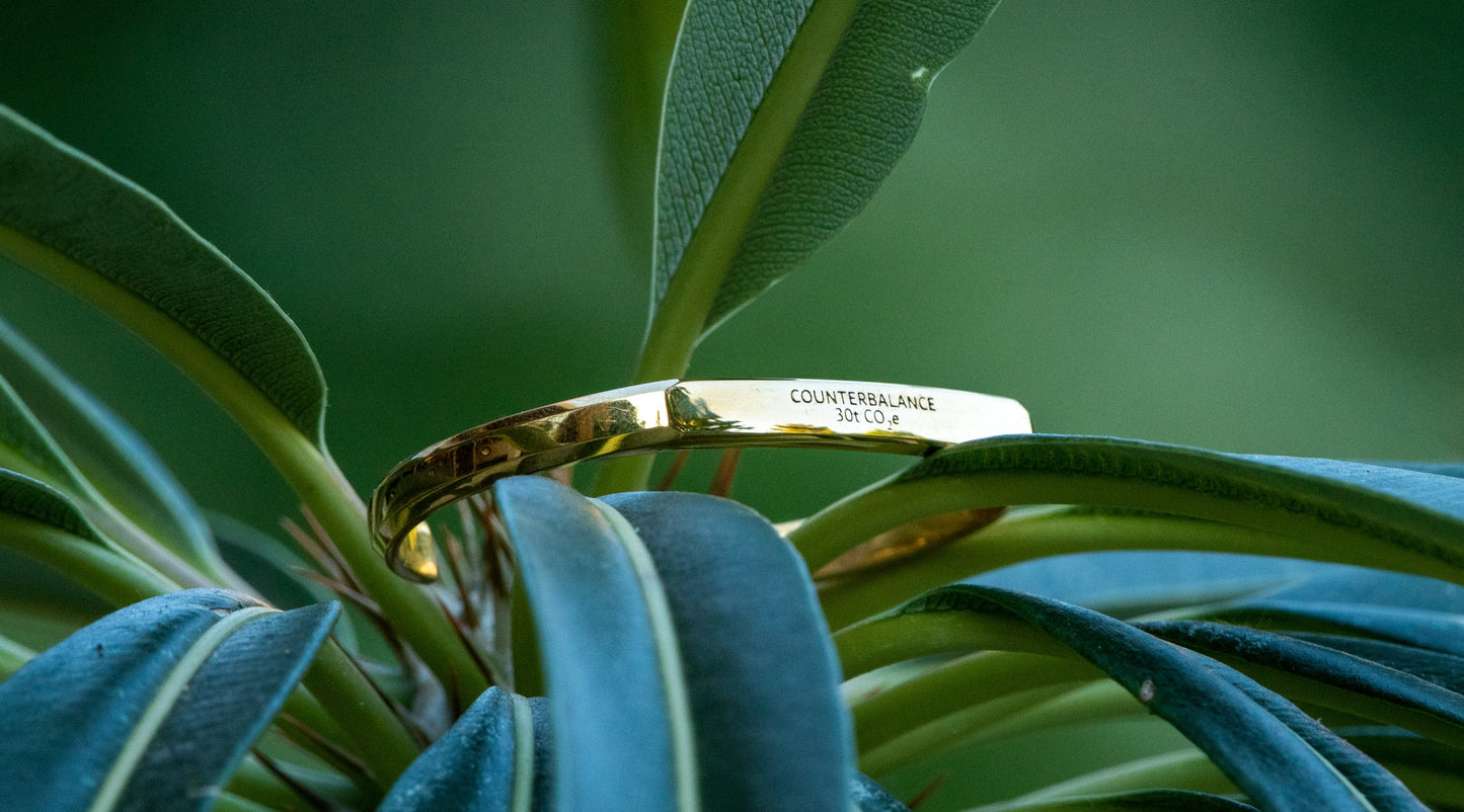 A gold counterbalance bracelet engraved with the abbreviations for 30 tons of carbon dioxide equivalent. The bracelet rests upon a plant with long leaves.