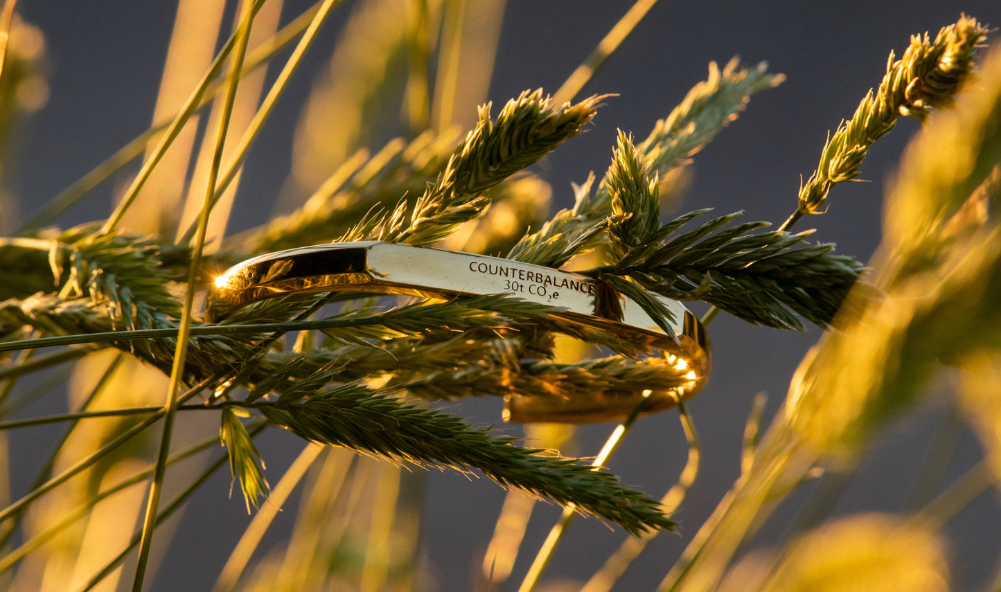 A gold counterbalance bracelet engraved with the abbreviations for 30 tons of carbon dioxide equivalent. The bracelet sits upon green and gold grasses in a sun dappled field.