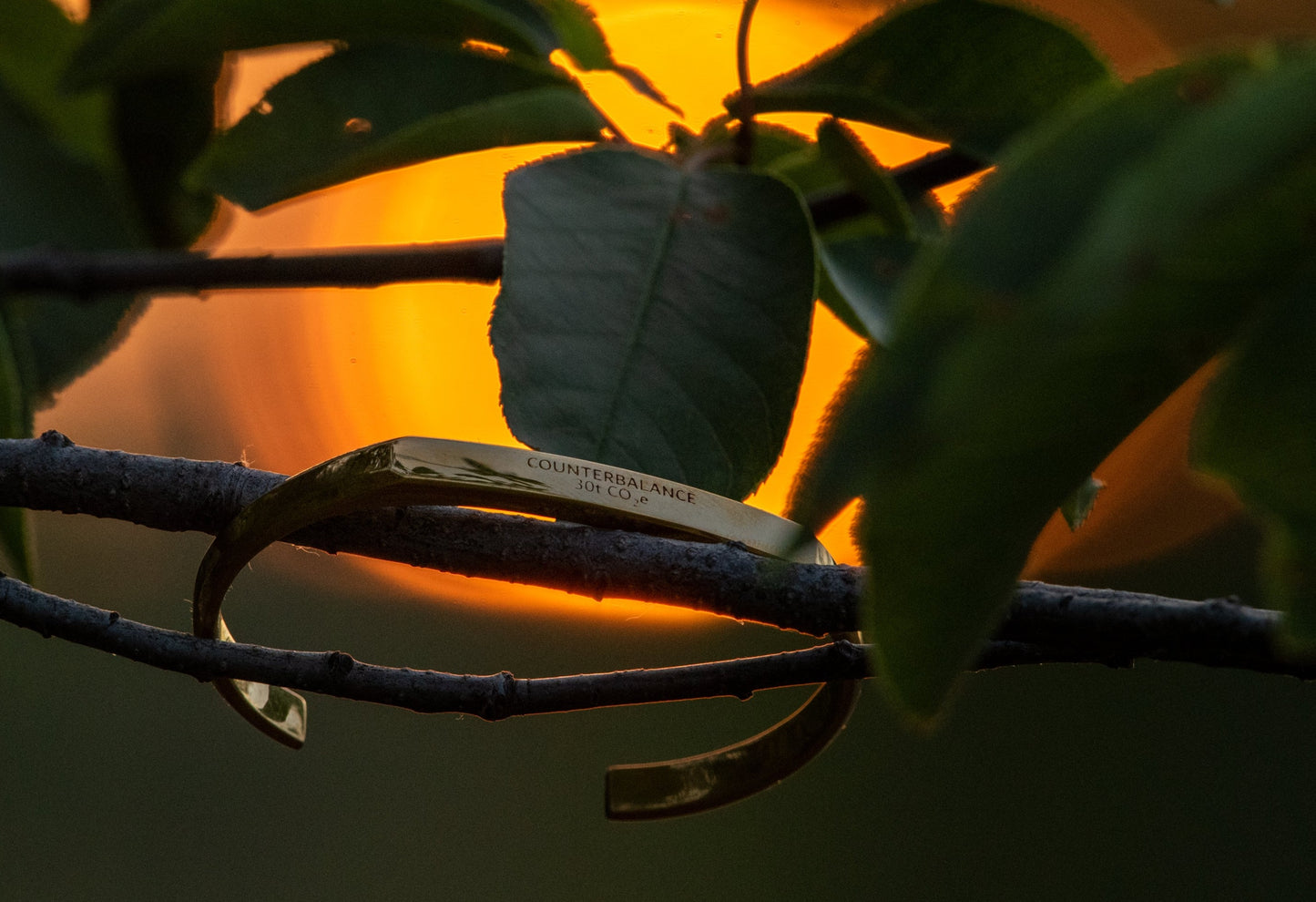 A gold counterbalance bracelet engraved with the abbreviations for 30 tons of carbon dioxide equivalent. The bracelet sits upon a leafy branch as the sun sets.