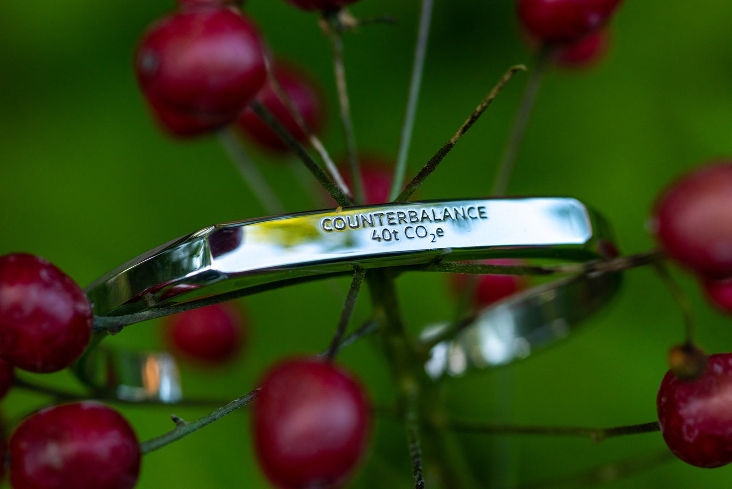 A white gold counterbalance bracelet engraved with 40t CO2e for 40 tons of carbon dioxide equivalent. The bracelet rests upon the stem of a plant with red fruiting buds.