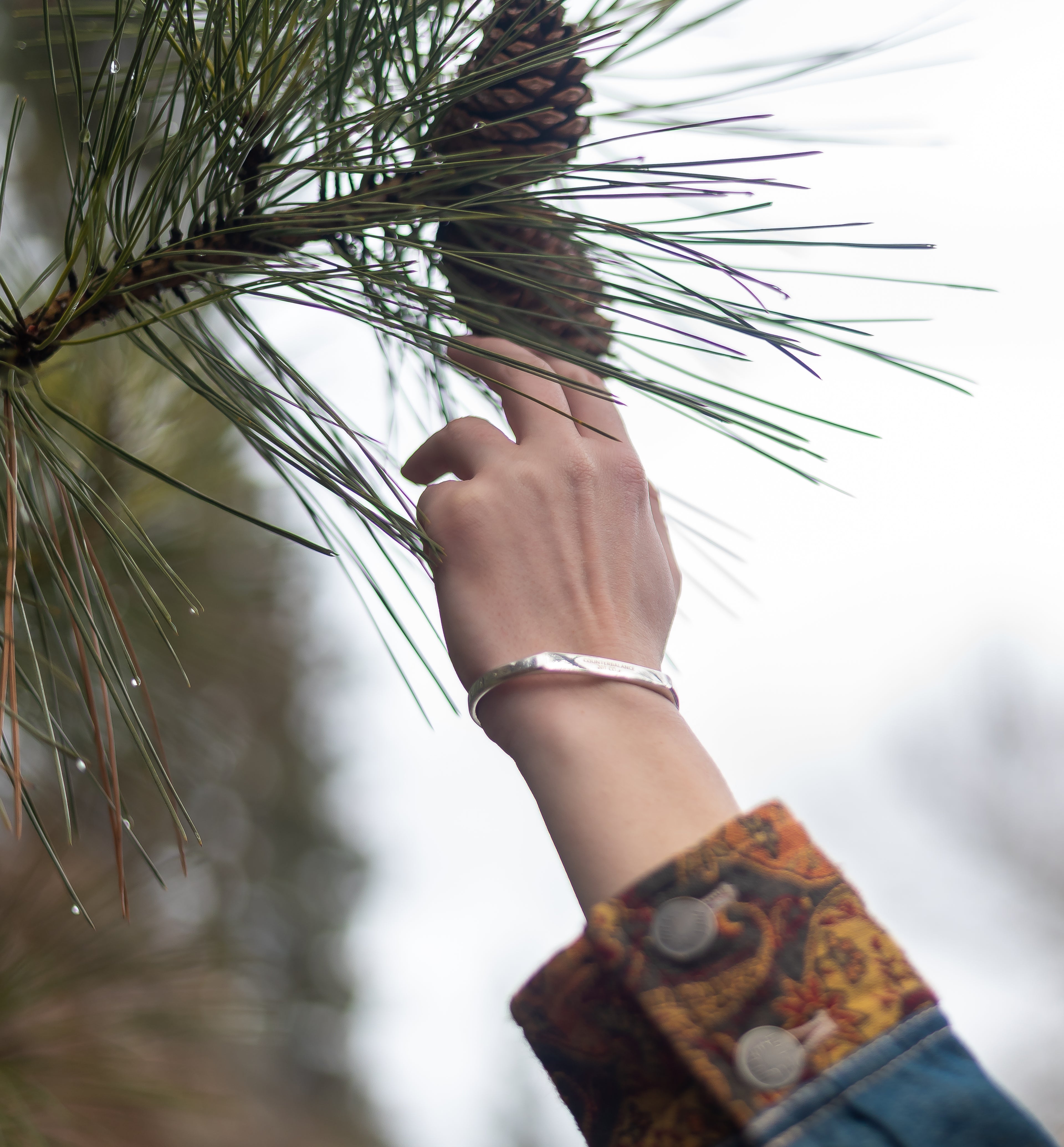 A model wearing a silver counterbalance bracelet reaches towards a ponderosa pine tree. 