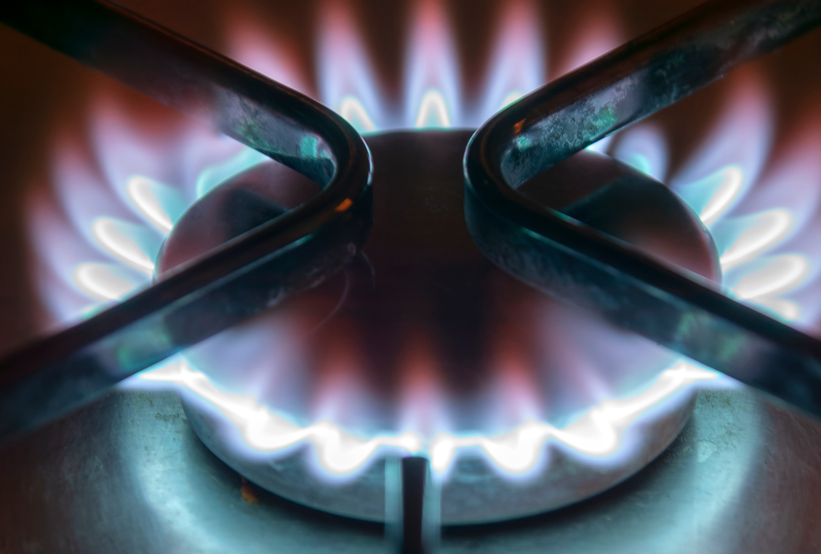 a flame on a gas stove. 