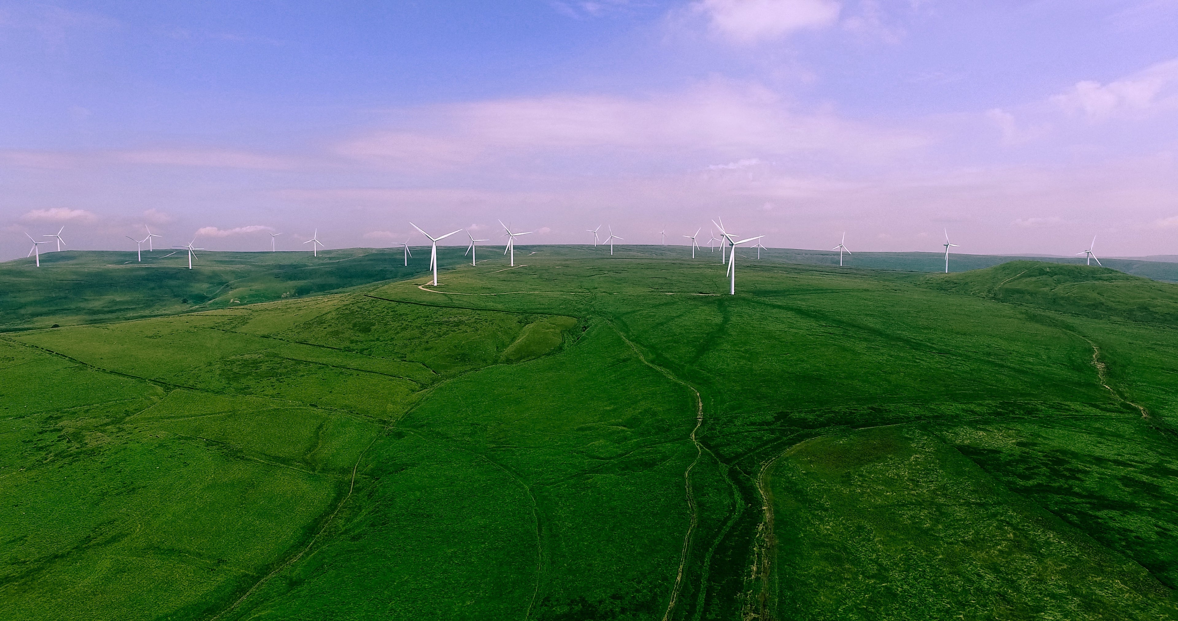 wind turbines in a green meadow. 