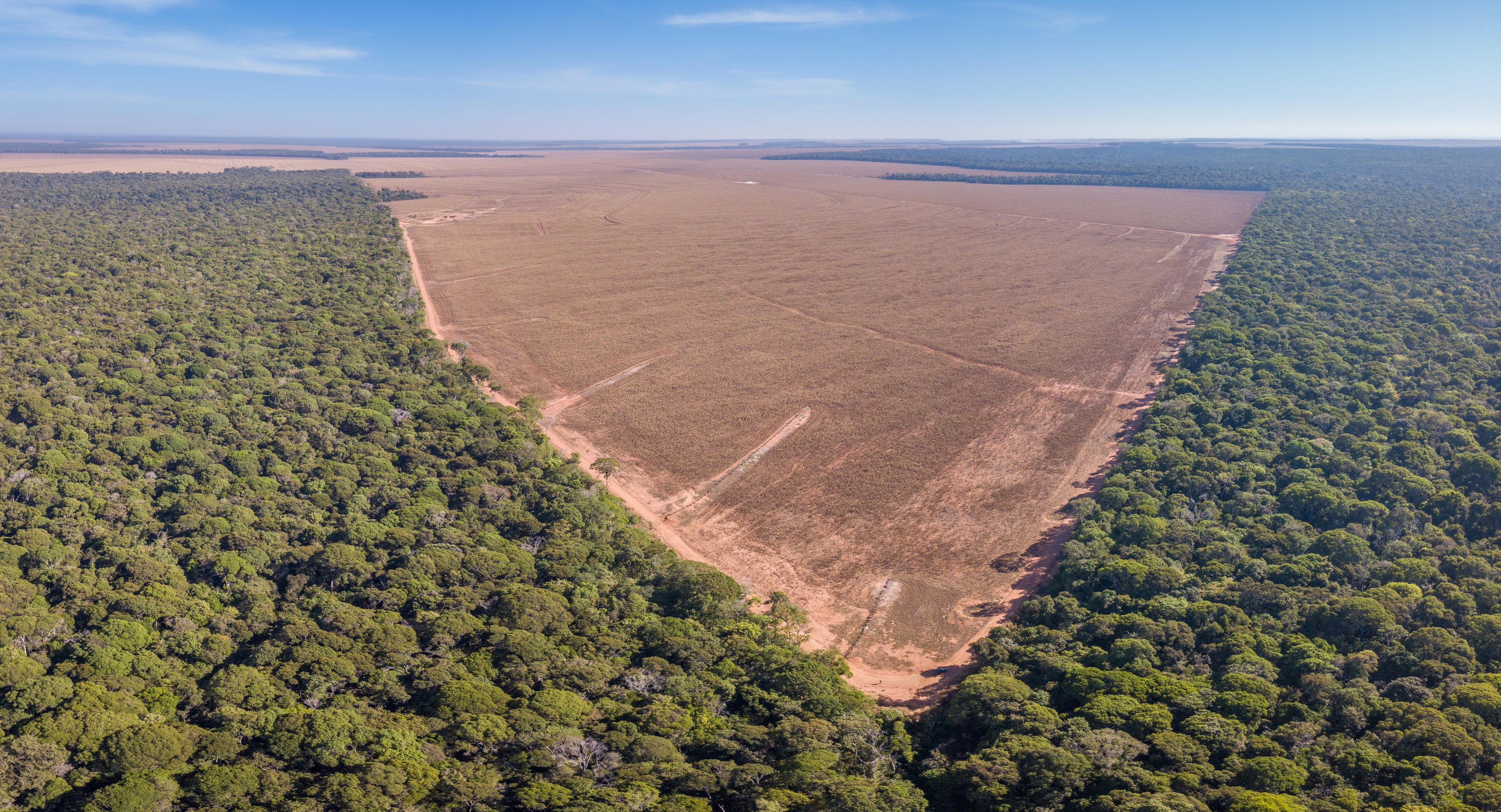 a photo of brazilian amazon rainforest being deforested next to intact forest representing the counterbalance forest restoration and protection climate action projects. 