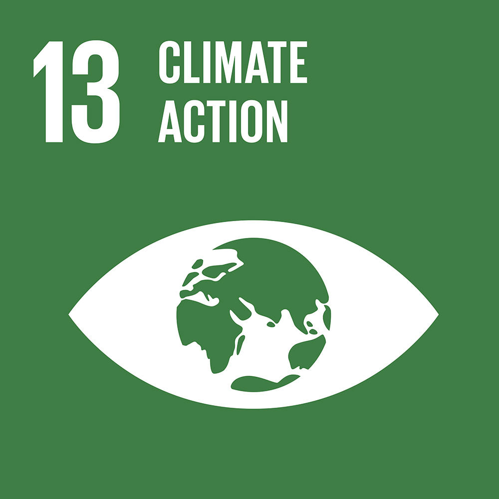 UN Sustainable development goal #13 "climate action"