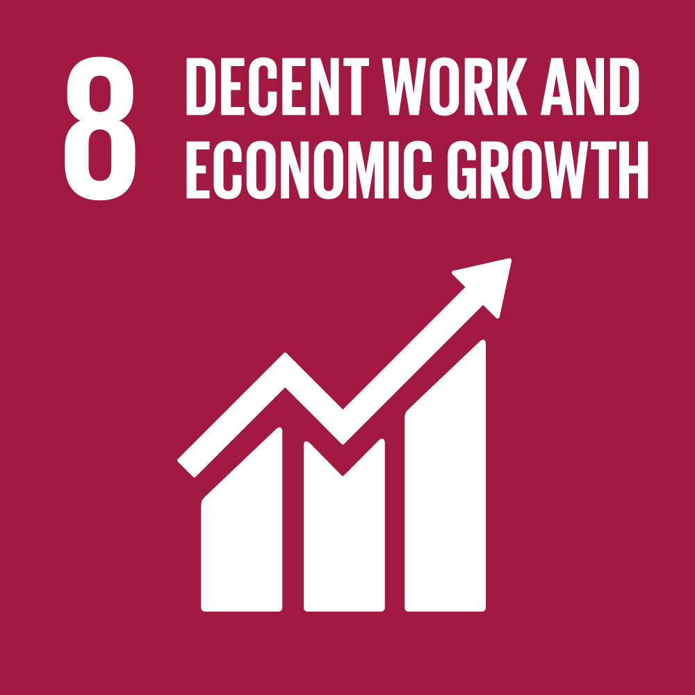 UN Sustainable development goal #8 "Decent work and economic growth"