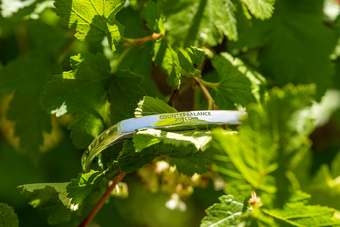 A silver counterbalance bracelet engraved with the word Counterbalance and the abbreviation 20t CO2e for 20 tons of carbon dioxide equivalent. The bracelet is displayed on a plant's green leaves. 