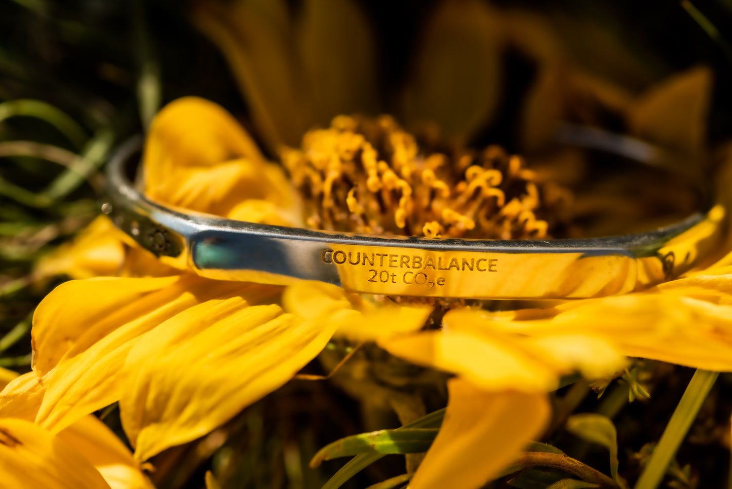 A silver counterbalance bracelet engraved with the word Counterbalance and the abbreviation 20t CO2e for 20 tons of carbon dioxide equivalent. The bracelet is displayed on a sunflower's yellow petals. 