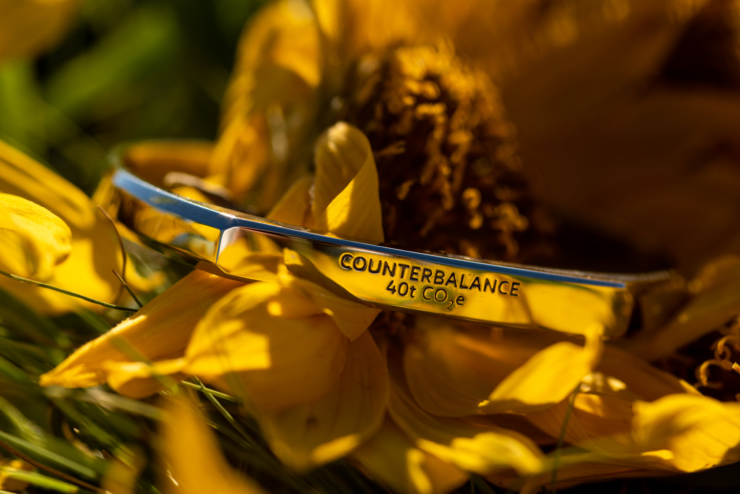 A white gold counterbalance bracelet engraved with 40t CO2e for 40 tons of carbon dioxide equivalent. The bracelet is resting on a balsamroot sunflower in the rattlesnake mountains.