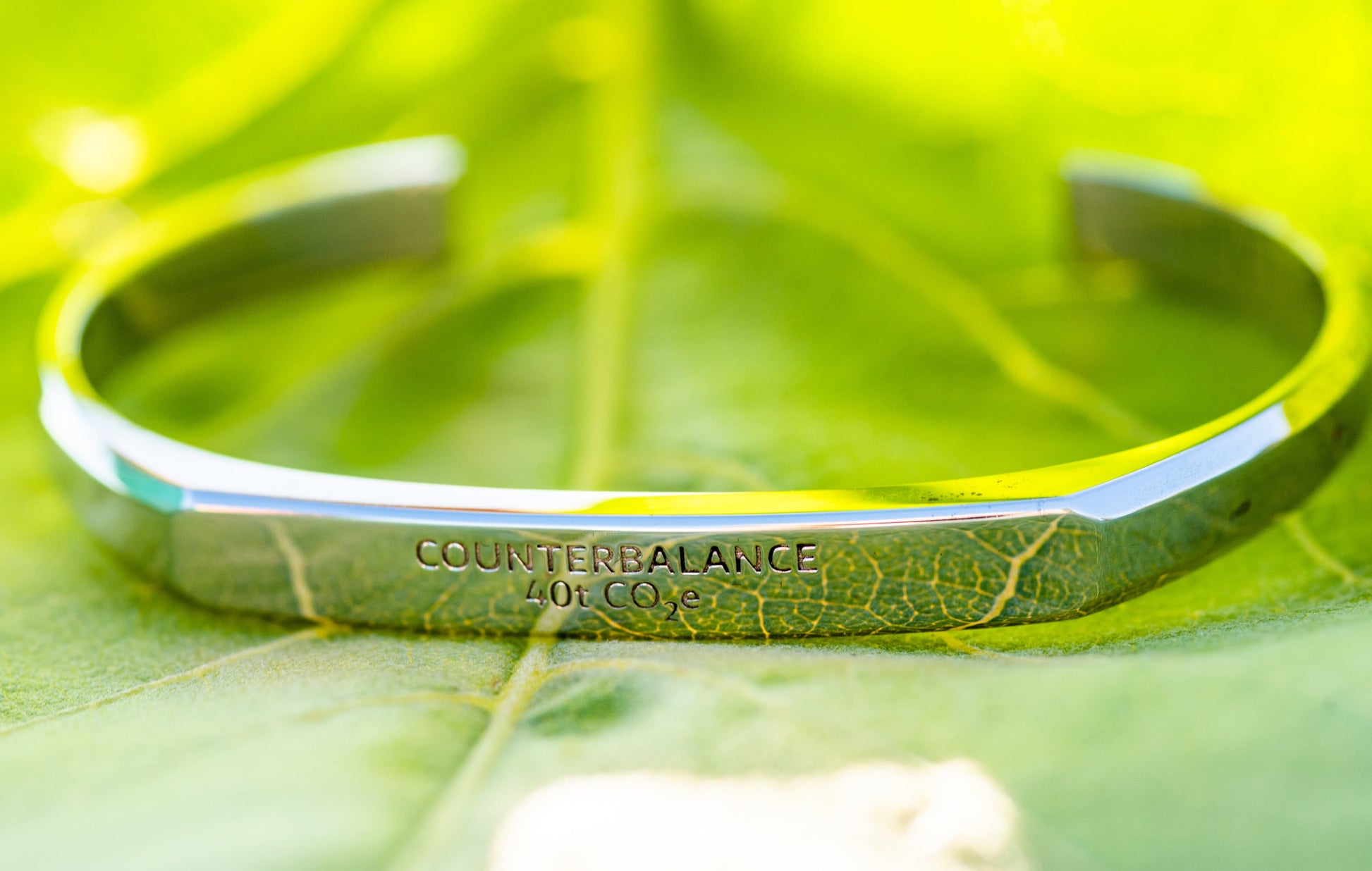 A white gold counterbalance bracelet engraved with 40t CO2e for 40 tons of carbon dioxide equivalent. The bracelet rests upon the leaf of a sunflower backlit by the sun. 