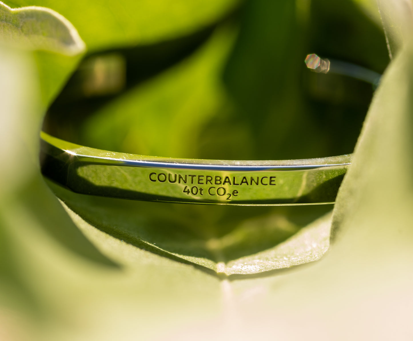 A white gold counterbalance bracelet engraved with 40t CO2e for 40 tons of carbon dioxide equivalent. The bracelet rests upon the leaf of a sunflower backlit by the sun.