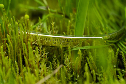 A white gold counterbalance bracelet engraved with 40t CO2e for 40 tons of carbon dioxide equivalent. The bracelet is nestled among small plants on the forest floor.