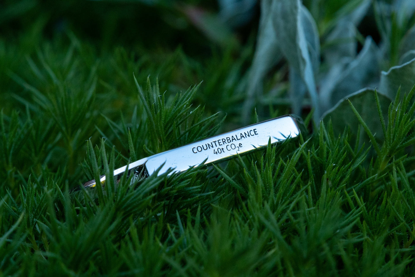 A white gold counterbalance bracelet engraved with 40t CO2e for 40 tons of carbon dioxide equivalent. The bracelet rests upon lush green foliage. 