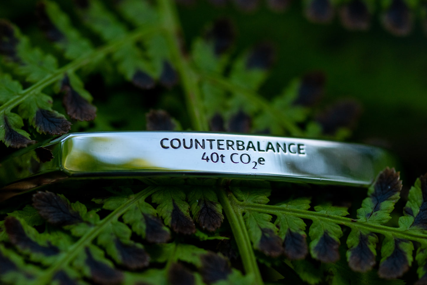 A white gold counterbalance bracelet engraved with 40t CO2e for 40 tons of carbon dioxide equivalent. The bracelet rests upon a green and black fern. 