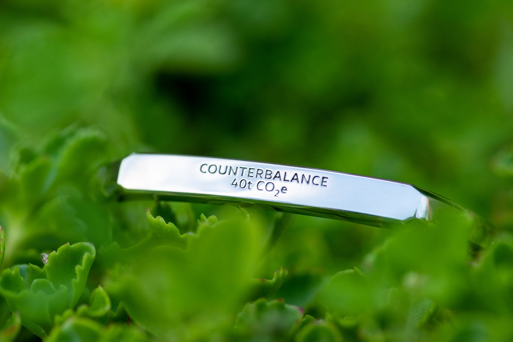 A white gold counterbalance bracelet engraved with 40t CO2e for 40 tons of carbon dioxide equivalent. The bracelet is nestled among deep green foliage.